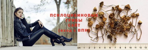 гидропоника Пестово