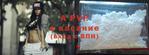 стафф Покачи