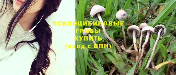 2c-b Покровск