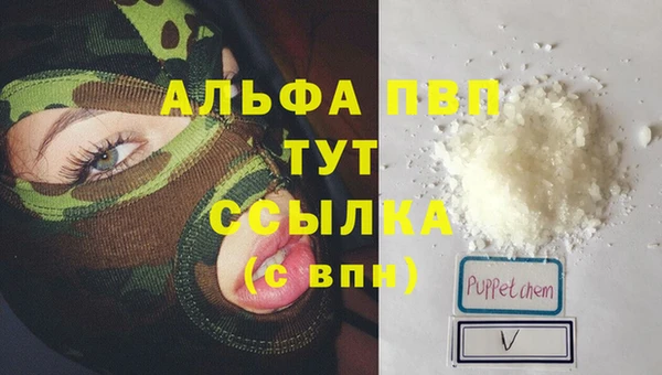 стафф Покачи